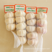Hot sale fresh Chinese 3p/4p pure white garlic supply from China garlic exporters alho ajo with wholesale garlic in bulk price